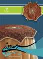 دانلود کتاب سرمه دوزی دوم